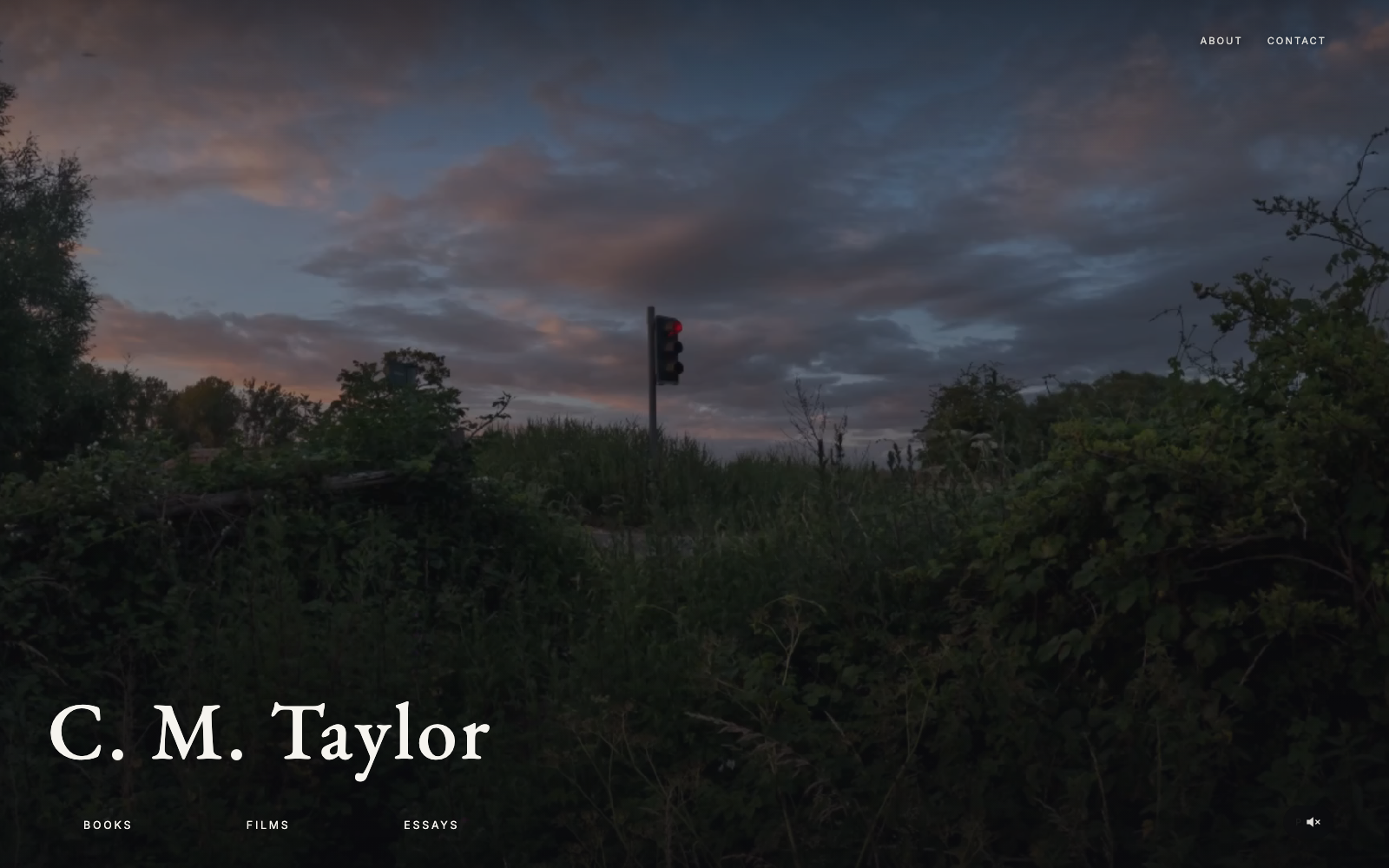C. M. Taylor